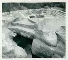 ���� ������ ��� ��� ����