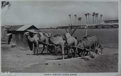 ���� ������ ��� ��� ����