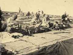 ���� ������ ��� ��� ����