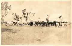 ���� ������ ��� ��� ����