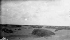 ���� ������ ��� ��� ����