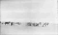 ���� ������ ��� ��� ����