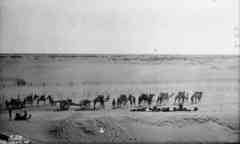 ���� ������ ��� ��� ����