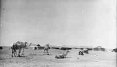 ���� ������ ��� ��� ����