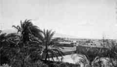 ���� ������ ��� ��� ����