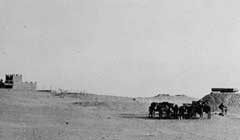 ���� ������ ��� ��� ����