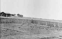 ���� ������ ��� ��� ����