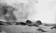 ���� ������ ��� ��� ����