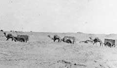 ���� ������ ��� ��� ����