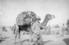 ���� ������ ��� ��� ����