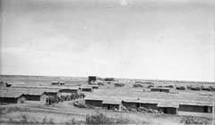 ���� ������ ��� ��� ����