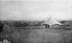 ���� ������ ��� ��� ����