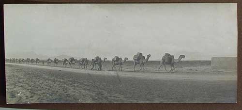 ���� ������ ��� ��� ����