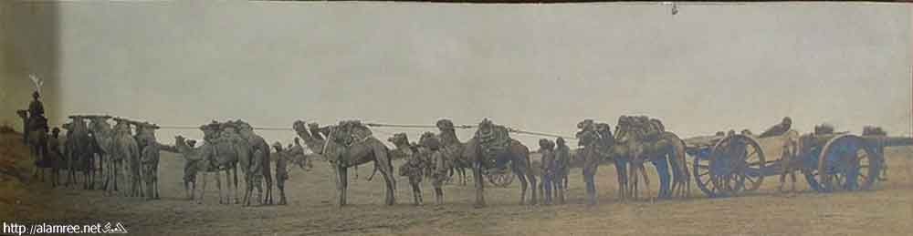 ���� ������ ��� ��� ����