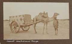 ���� ������ ��� ��� ����