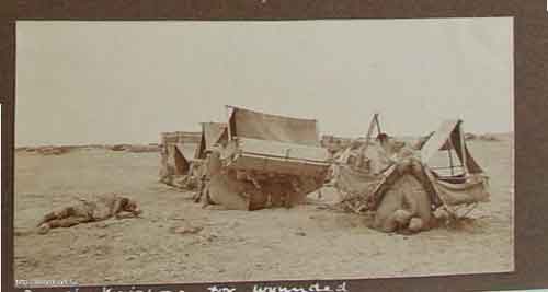 ���� ������ ��� ��� ����