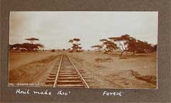 ���� ������ ��� ��� ����