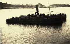 ���� ������ ��� ��� ����