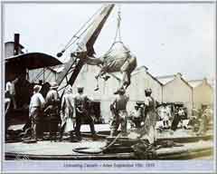 ���� ������ ��� ��� ����