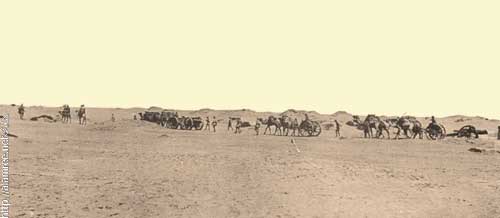 ���� ������ ��� ��� ����