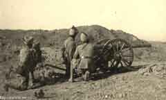 ���� ������ ��� ��� ����