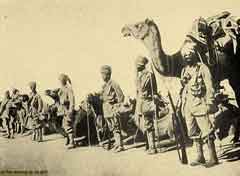 ���� ������ ��� ��� ����