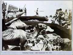 ���� ������ ��� ��� ����