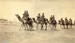 ���� ������ ��� ��� ����