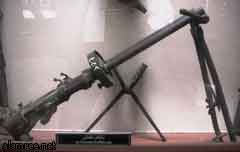 ���� ������ ��� ��� ����