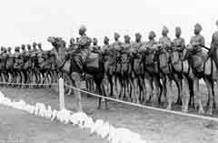 ���� ������ ��� ��� ����