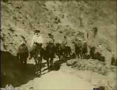 ���� ������ ��� ��� ����