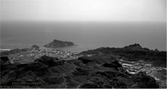 ���� ������ �� ��� �����