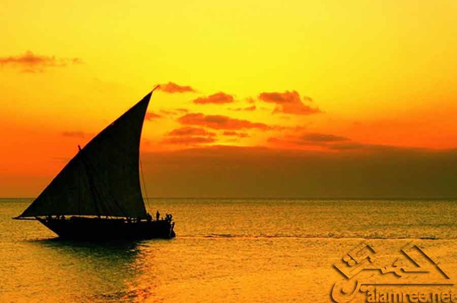صوره للزعيمه ضوء في خليج عدن في الستينات