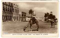 ���� ������ ��� ��� ����