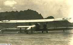 ���� ������ ��� ��� ����