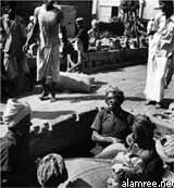 ���� ��� ������ ������ ��� ��� ����