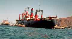 ���� ��� ������ ������ ��� ��� ����