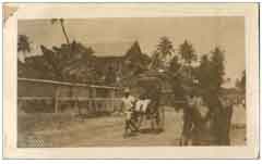 ���� ��� ������ ������ ��� ��� ����