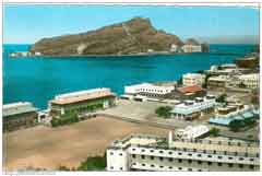 ���� ��� ������ ������ ��� ��� ����