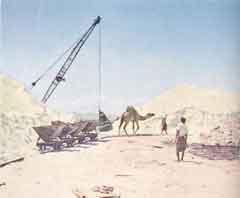 ���� ��� ������ ������ ��� ��� ����