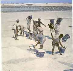 ���� ��� ������ ������ ��� ��� ����