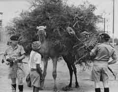 انقر للحصول على حجم اكبر