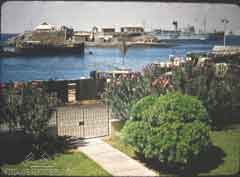 ���� ��� ������ ������ ��� ��� ����