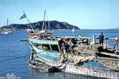 ����� ������ ���� ����� ����� ��������