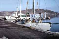 ���� ���� ��� ��� ���� ��� ������� ����� ������