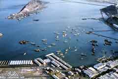 &nbsp;���� ���� ������ ��� ������ ��� 1962