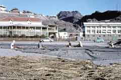   ������� �������� ��� 1962 
