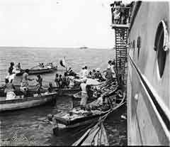 ���� ������ ��� ��� ���� ������