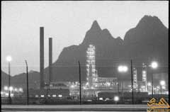 ���� ������ ��� ��� ����