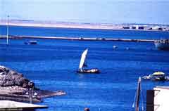 ���� ������ ��� ��� ����